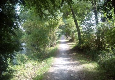 Percorso Marcia Houplin-Ancoisne - Canal de seclin 28-08-16 - Photo