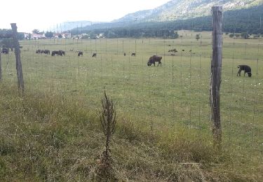 Tocht Fiets Gréolières - greolieres - Photo