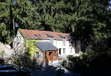 Tocht Stappen Durbuy - La promenade de Jeannot - Photo