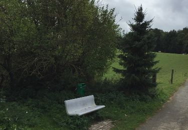 Randonnée Cheval Flobecq - bois de la houppe - Photo