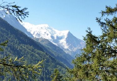 Percorso Marcia Chamonix-Mont-Blanc - CHAMONIX ( Le Chapeau) - Photo