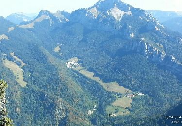 Tour Wandern Saint-Pierre-de-Chartreuse - col de la charmette - charmant som - Photo