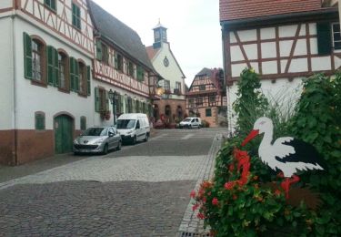 Trail Walking Niederbronn-les-Bains - niederbronn-oberbronn les chateaux - Photo