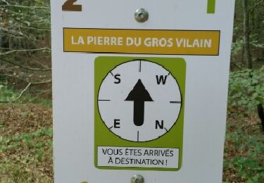 Trail Walking Paucourt - Paucourt 45 12km5 Arle - Photo