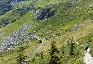 Tocht Stappen Chamonix-Mont-Blanc - CHAMONIX (Flégère) - Photo