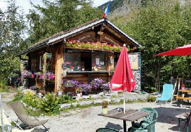 Tocht Stappen Chamonix-Mont-Blanc - CHAMONIX (Viaduc) - Photo