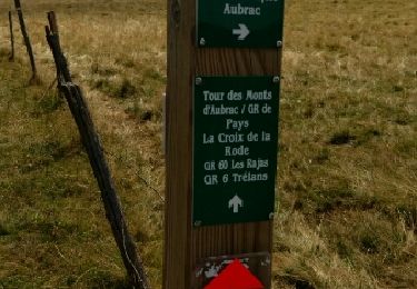Tour Wandern Saint-Chély-d'Aubrac - SG St Chély d'Aubrac - Les Rajas  - Photo