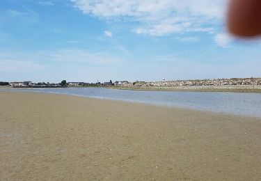 Tour Wandern Le Crotoy - La baie de Somme 13-09-16 - Photo