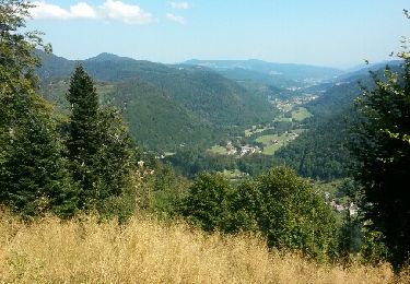 Tour Mountainbike Mittlach - Mittlach le Haut - Le Schweisel - Col du Hahnenbrunnen - Photo