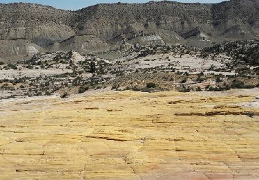 Randonnée Marche  - Yellow Rock  - Photo