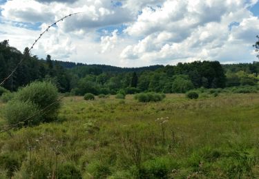 Tocht Stappen Saint-Romain-d'Urfé - boucle le Limousin - Photo