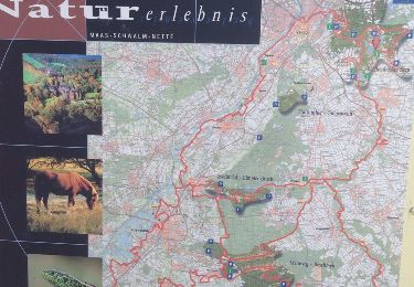 Trail Other activity Venlo - naar Hausbeij in Duitsland - Photo
