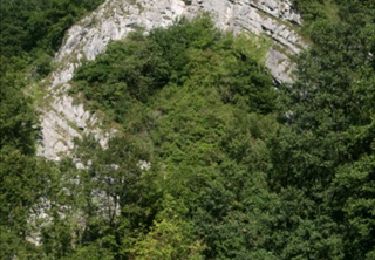 Tour Wandern Rochefort - Nature : Belvaux -Les Rouges-Gorges (the robins) - Photo