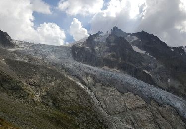Tocht Stappen Chamonix-Mont-Blanc - CMX ZRMT Étape 0 du Tour à la Forcez !  - Photo