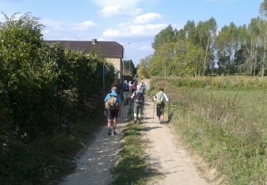 Trail Walking Anhée - De la plante à Godinne - Photo