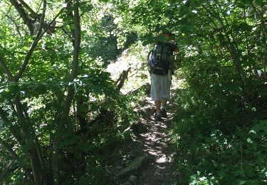 Excursión Otra actividad Thuès-Entre-Valls - thues ras de la carança - Photo