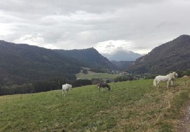 Excursión Otra actividad Plateau-des-Petites-Roches - 15 09 St Hilaire Le Sapey - Photo