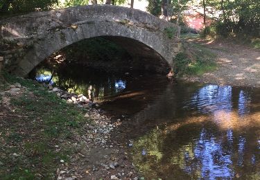 Tour Wandern Saint-Polgues - St Polgues viaduc  - Photo