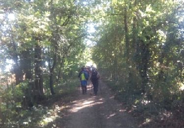 Randonnée Autre activité Blaincourt-lès-Précy - gh - Photo