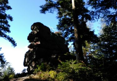 Tour Wandern Sankt Didel - Les Roches de l'Ormont et le Camp Celtique de la Bure - Photo