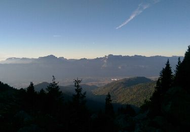 Trail Walking Revel - lac petit domenon - Photo