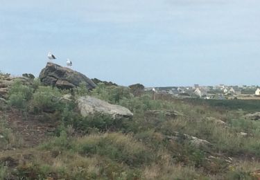 Trail Walking Ushant - Ouessant - Photo