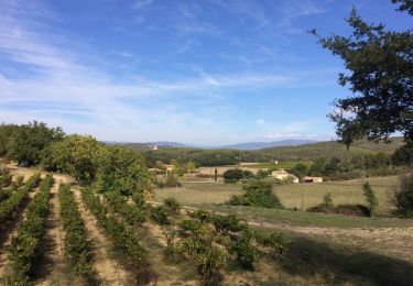 Trail Walking Rognes - mini sentier des vignerons  - Photo