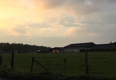 Tocht Stappen Beersel - Begijnenbos - Photo