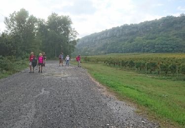 Randonnée Marche Chauzon - Ardèche-161001 - Pradons-Lanas - Photo