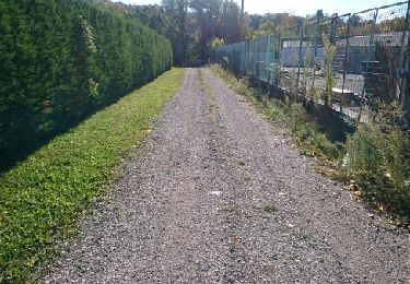 Tour Andere Aktivitäten Aouste-sur-Sye - rive droite retour  - Photo