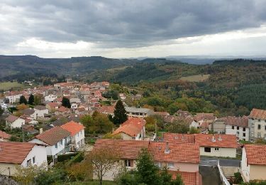 Tour Wandern Saint-Rémy-sur-Durolle - 2016-10-24- Saint-Rémy - Photo