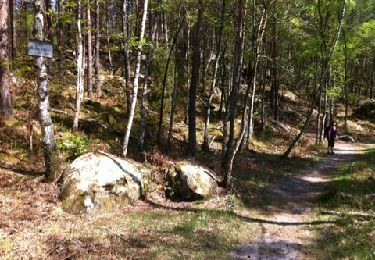 Trail Walking Fontainebleau - RandonnÃ©e - Photo