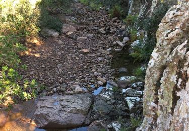 Percorso Mountainbike Saint-Raphaël - les 3 lacs - Photo