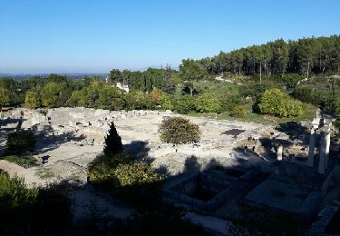 Excursión Senderismo Saint-Rémy-de-Provence - Site antique de Glanum - Photo