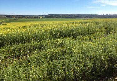 Tour Wandern Clavier - Pailhe - la Vyle- St Fontaine - Photo