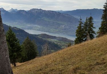 Trail Walking Talloires-Montmin - col lancrenaz - Photo