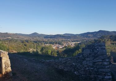 Tour Wandern Bédarieux - le causse villemagne - Photo