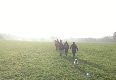 Randonnée Marche Dalhem - Berneau nous voici - Photo