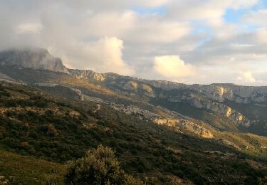 Excursión Bici de montaña Gémenos - Jeudaï-Gemenos-171215 - Photo