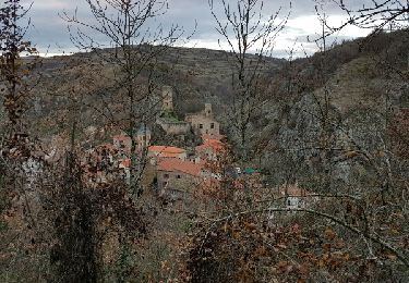 Tocht Stappen Saint-Floret - LaChaubasseStFloret_T - Photo