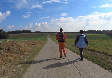Trail Walking Anhée - La Transmolignée - Photo