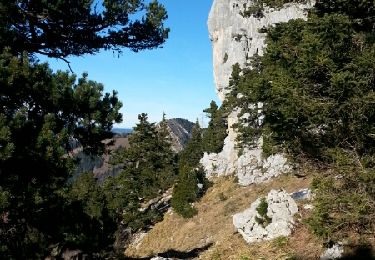 Randonnée Marche Plateau-des-Petites-Roches - La dent de Crolles par le Pas de l'Oeille et le Sangle Barrère - Photo