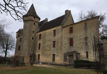 Excursión Otra actividad Les Eyzies - Atlamed : Château de Commarque - Sarlat - Photo