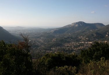 Trail Walking Le Revest-les-Eaux - le mont Combe - Photo