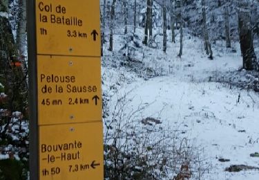 Excursión Raquetas de nieve Léoncel - Le Grand Echaillon 20 12 2016 - Photo