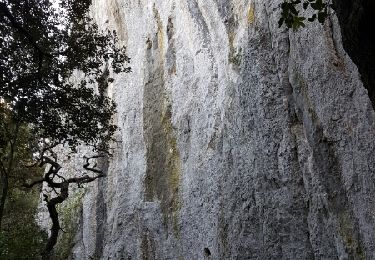 Tocht Stappen Roquefort-la-Bédoule - La tête du Douard  Roquefort la Bedoule  - Photo