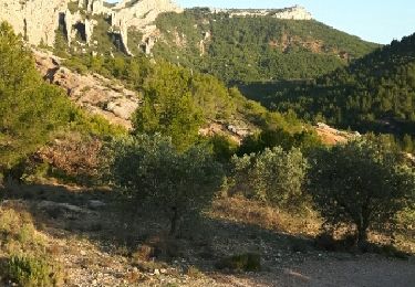 Trail Walking Saint-Antonin-sur-Bayon - le refuge Cézanne - Photo