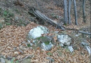 Randonnée Autre activité Malons-et-Elze - Frontal vieille morte  - Photo