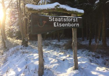 Excursión Otra actividad Büllingen - elsenborn 2017 - Photo