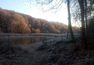 Trail Walking Voisins-le-Bretonneux - 170106 merantaise - Photo